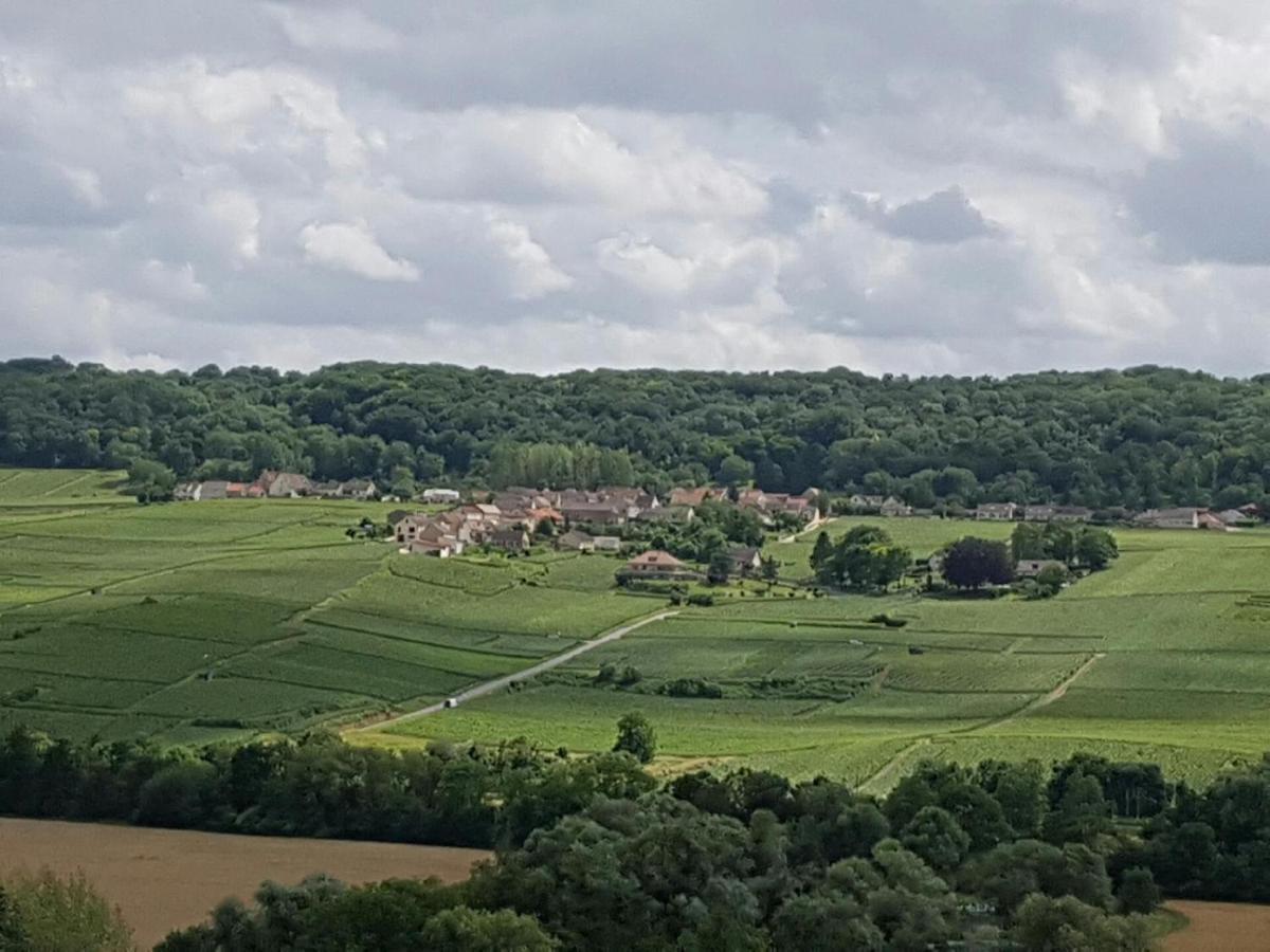 Le Domaine De L Etang Le Merger Oeuilly Экстерьер фото